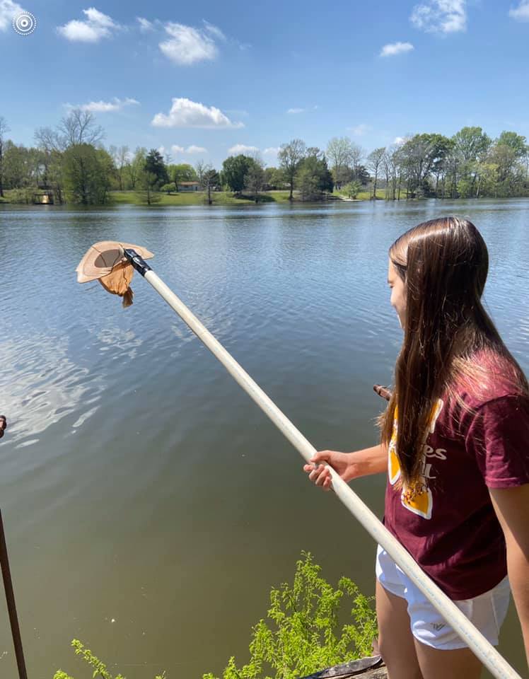 Youth Wetlands curriculum available for at-home use
